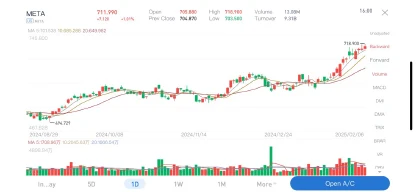 (圖:Meta股價走勢圖 時間區間:2024.8.29-2025.2.7 資料來源:漲樂全球通)