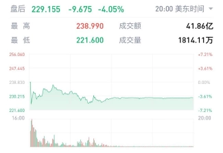 （圖：特斯拉股價走勢圖 時間區間：2024.10.24-2025.2.5資料來源：漲樂全球通）
